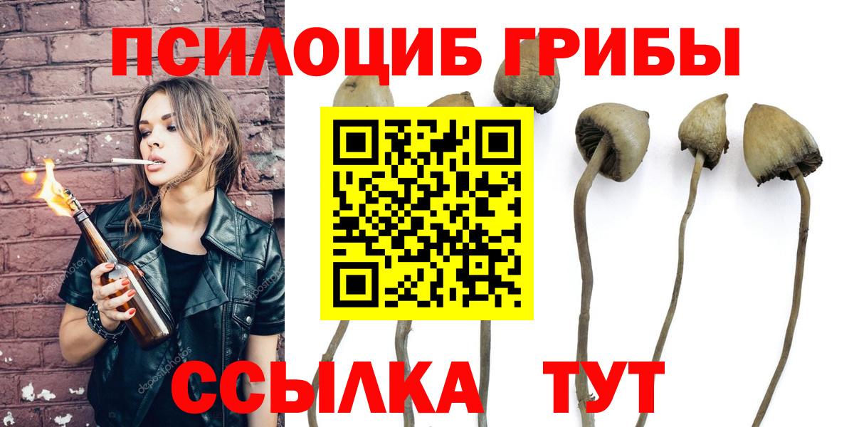 Красногорск  Псилоцибиновые грибы MAGIC MUSHROOMS  Вход с VPN 